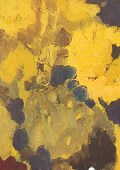 current poetry: an age of plenty